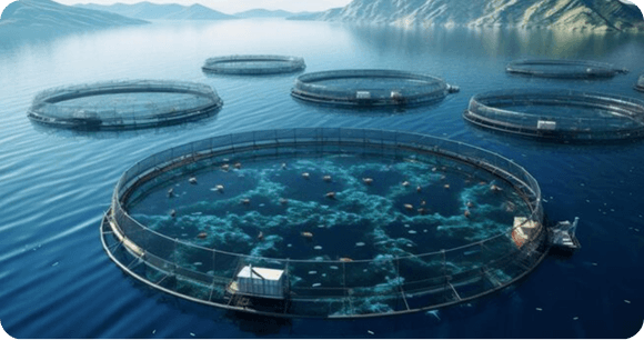 Ocean simulations