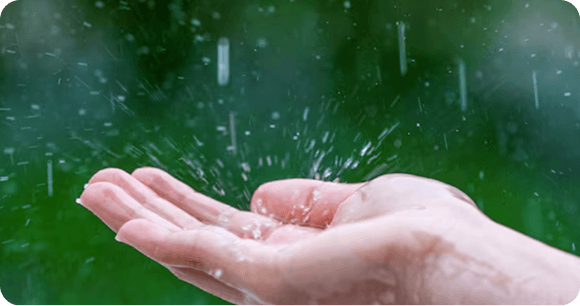Rain
