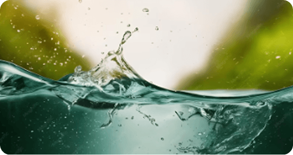 Water